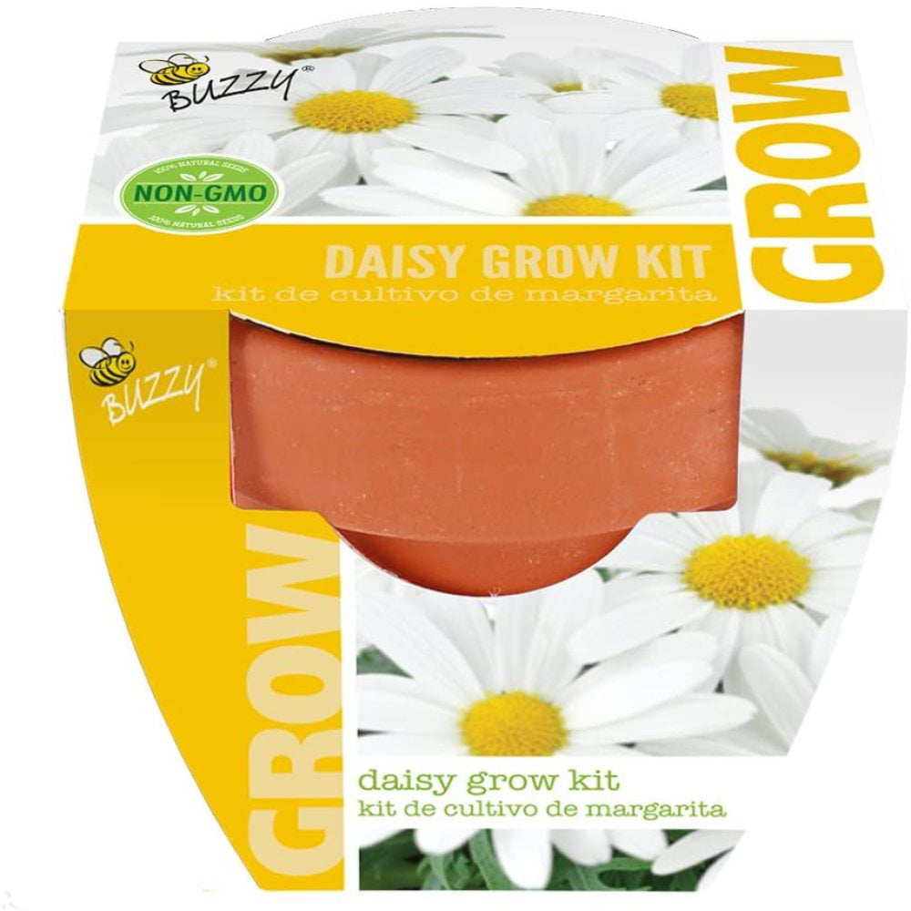 Details about   Buzzy Seeds Daisy Grow Kit Set Mini Pots 