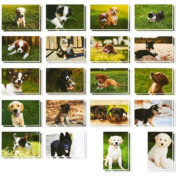 40 Pack Puppy Dog Postcards Bulk Set - All Occasion Assorted Blank Post Cards Greeting Bulk Box Set - 4 x 6 Inches