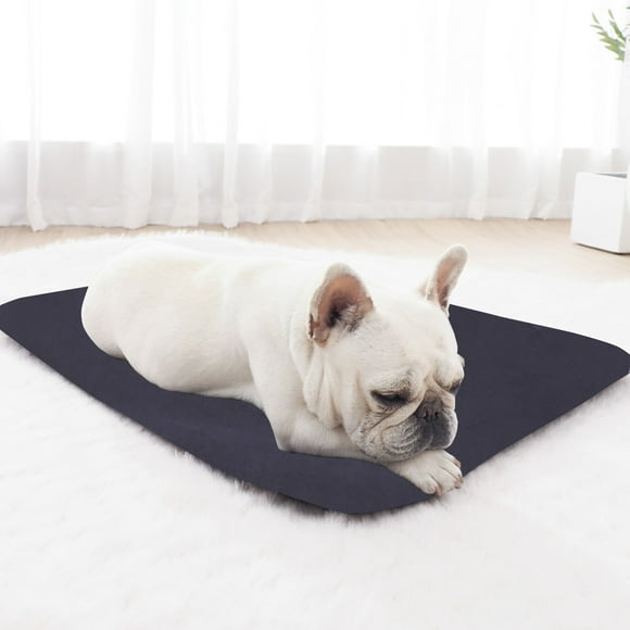 Cama para perro abrigada y gruesa | Casa para cachorros y gatitos de pana | Almohadilla para perro desmontable y lavable | Para mascotas pequeñas hasta 2.5kg | Perrera acogedora para invierno
