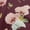 Maroon, variant on oneOone Polyester Lycra White Fabric Leaves & Floral Sewing Fabric By The Yard Printed Diy Clothing Sewing Supplies 56 Inch Wide