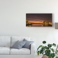 thumbnail image 3 of Trademark Fine Art 'Wake Up Sydney' Canvas Art by Danny Head, 3 of 4