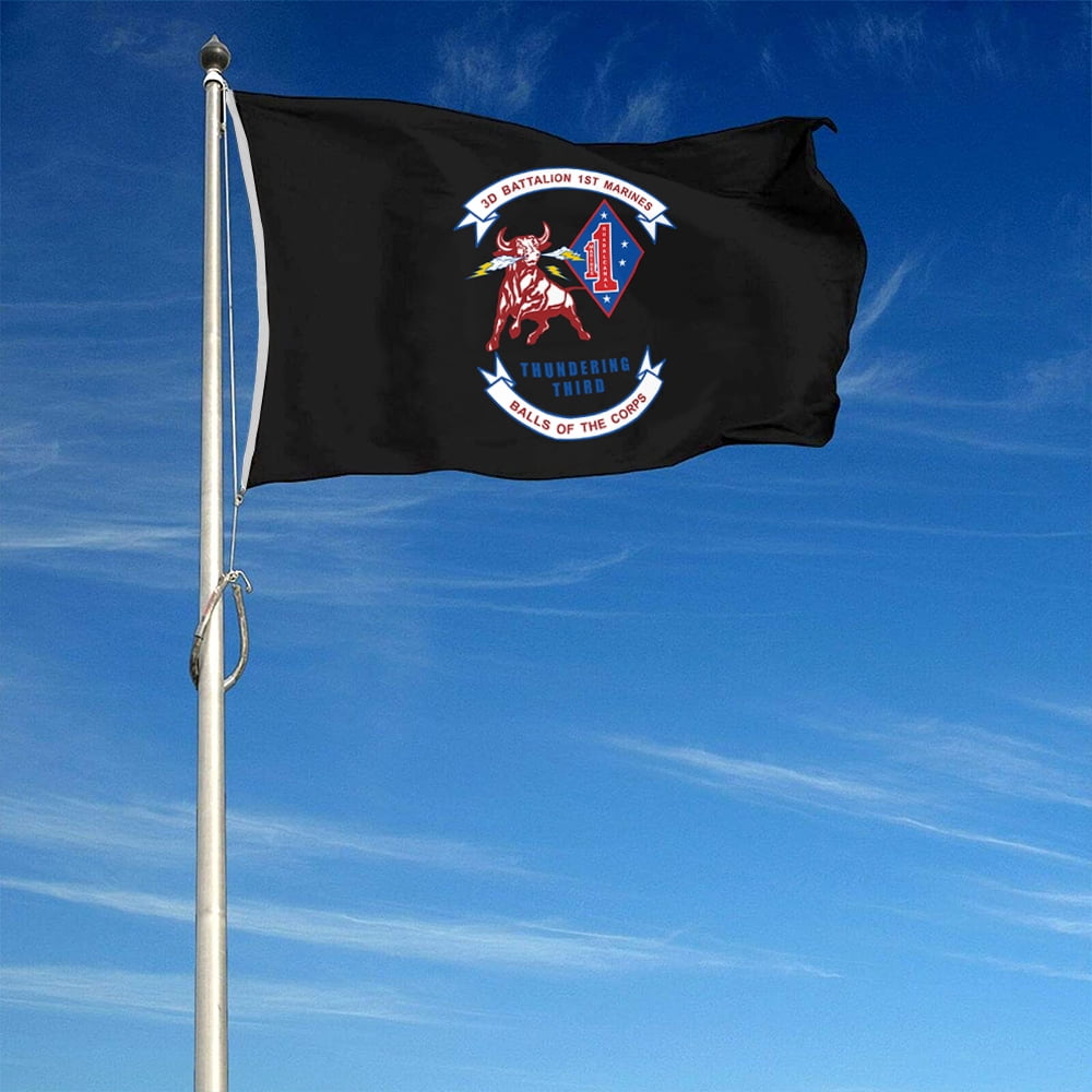 Dutern Double Sided 3rd Battalion, 1st Military Flag Banner 3 Ply with Brass Grommets 3x5 Feet