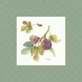 thumbnail image 2 of Audit, Lisa 12x12 Black Ornate Wood Framed with Double Matting Museum Art Print Titled - Orchard Bloom III Border, 2 of 4