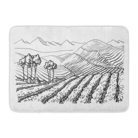 GODPOK America Green Agriculture Coffee Plantation Landscape in Graphic Style White Retro Brazil Rug Doormat Bath Mat 23.6x15.7 (Best Share Brazilian Slimming Coffee)