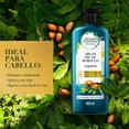 thumbnail image 3 of Acondicionador Herbal Essences Bio:Renew Argan Oil Of Morocco 400 ml, 3 of 5