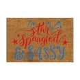 thumbnail image 2 of Dainzusyful Room Decor Rug Independence Day Welcome Decorative Floor Mat Living Room Door Mat Home Independence Day Decorative Rug Area Rug,Clearance Items, 2 of 3