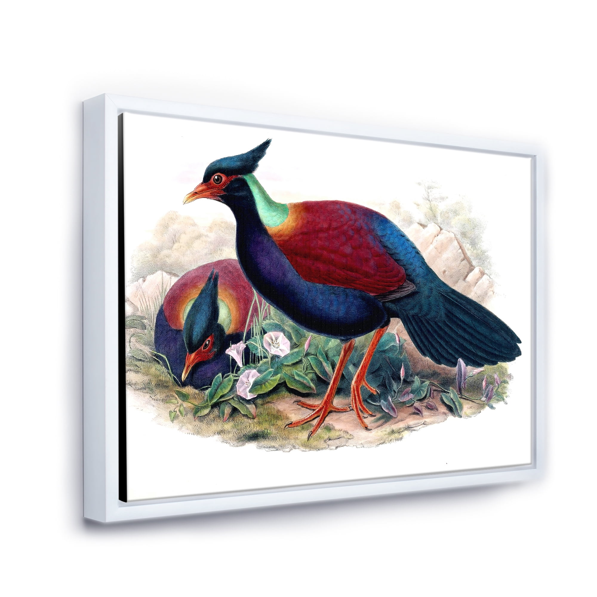Designart 'Ancient Birds In The Wild II' Traditional Framed Canvas Wall Art Print