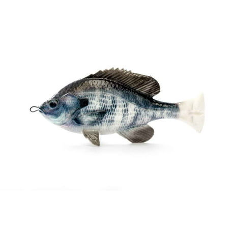 UPC: 0840004225296 | Savage Gear Pulse Tail Bluegill LB White Gill
