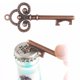 thumbnail image 4 of Muyoka 50PCS Vintage Abridor de botellas Retro Skeleton Key Soda Beer con Tag Catcher Cap Muyoka Hogar, 4 of 7