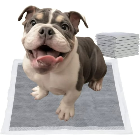 10 Unités Tailles m Tapis pour Chiots au Charbon de Bois Dites Adieu aux Tapis Puants pour Toujours