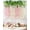 White & Light Pink, variant on Wisteria Hanging Flowers, 3.6 Feet Wisteria Artificial Flowers, Wisteria Garland with 3D Butterfly, Hanging Vines for Brdroom Wedding Home Party Wall Decor (White & Purple)