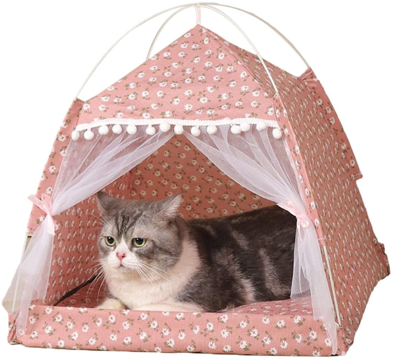 tent cat