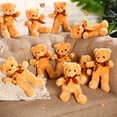 thumbnail image 4 of Peluches HyDren con forma de oso, 6 unidades, color marrón, 30 cm, 4 of 7