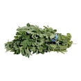 thumbnail image 1 of Alfalfa por pieza, 1 of 1