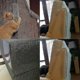 thumbnail image 3 of Cinta de entrenamiento antiarañazos para Gato, pegatina protectora para sofá, 3 of 4