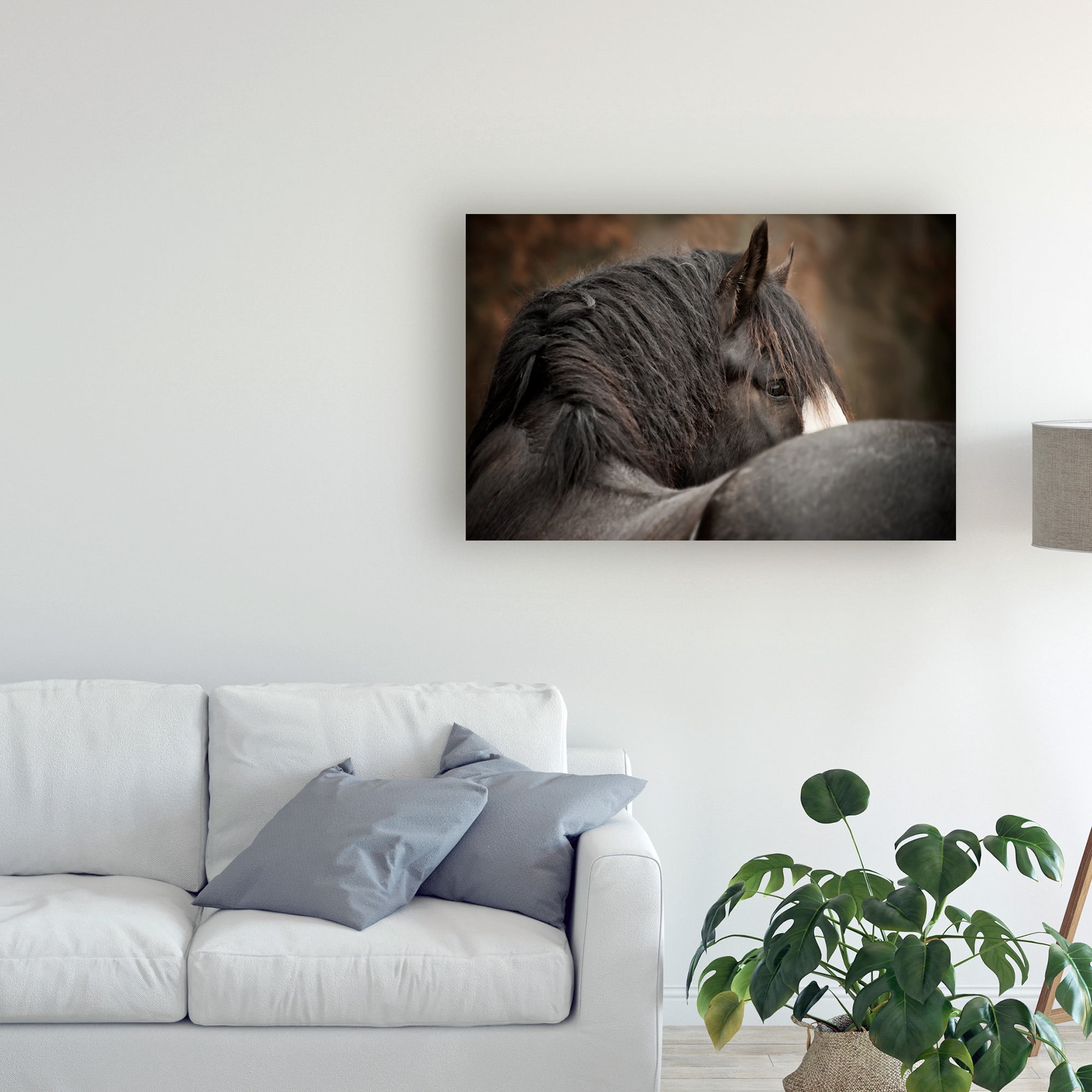 Trademark Fine Art 'Horse Looking Back' Canvas Art by PHBurchett