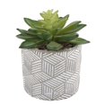 thumbnail image 4 of Flora Bunda CS2243E2 Set of 2 Pattern cement pot, 4 of 4