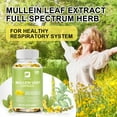 thumbnail image 2 of BEWORTHS Mullein Leaf Capsules - Herbal Supplement for Lung Cleanse & Respiratory Support - 1000mg 120 Vegan Caps, 2 of 6