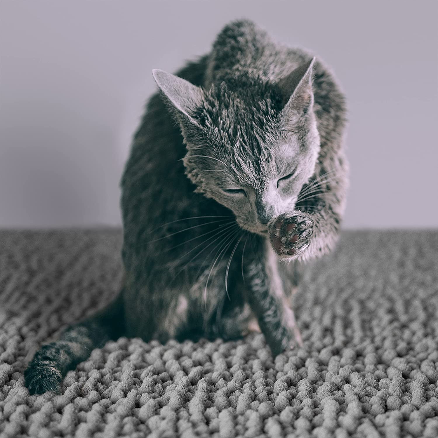 CatGuru Cat Litter Mat, Medium, Extra Large, XXL, Waterproof Litter Box Mat, Non Slip Kitty Litter Mat, Machine Washable Litter Trapping Mat, Soft Litter Tray, Cat Stuff (Gray, XXL/Heavy Duty)