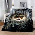 thumbnail image 1 of Couverture Ragdoll Chat Persan Calico Chat Garfield Couverture Douce pour Maison Chambre Lit Canapé Couverture Enfants, 1 of 7