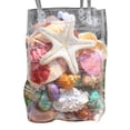 thumbnail image 2 of Dserhfy 1 Bag Natural Seashells Mixed Ocean Shells Starfish Conch Various Sizes Seashells Set for DIY Crafts Beach Theme Party Fish Tank Filling, 2 of 8