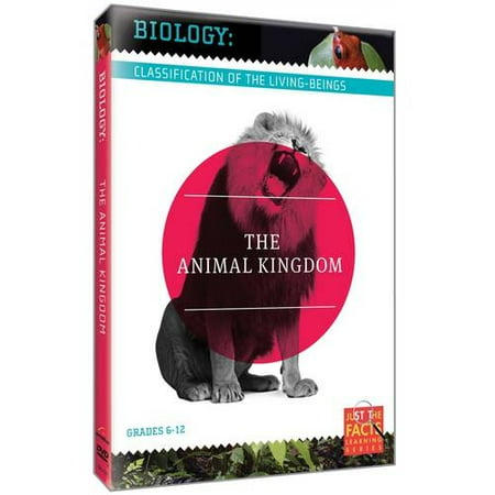 Biology: Classification Of The Living-Beings - The Animal Kingdom