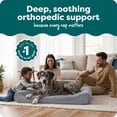 thumbnail image 2 of FurHaven Orthopedic Dog Bed for Large Dogs, Luxe Lounger Contour Mattress, Cool Gel-Top Foam with a Solid Orthopedic Foam Base for Joint Support, Washable Cover, Jumbo Plus XXL, Faux Fur & Suede, Gra, 2 of 9