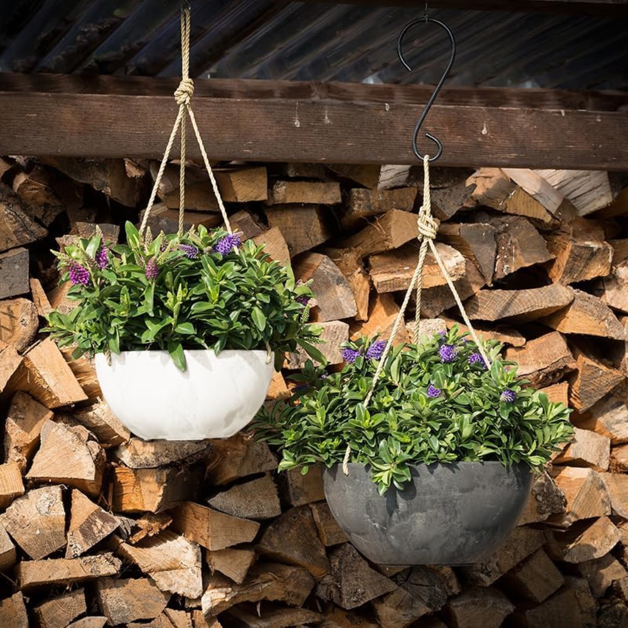 Root & Vessel Napa Hanging Bowl Planter, White, 10"