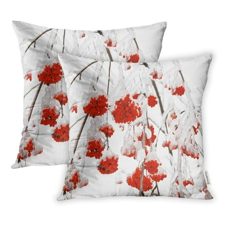 CMFUN Red Winter Branches Mountain Ash in The Ice Colorful Snow Pillowcase Cushion Cover 16x16 inch, Set of