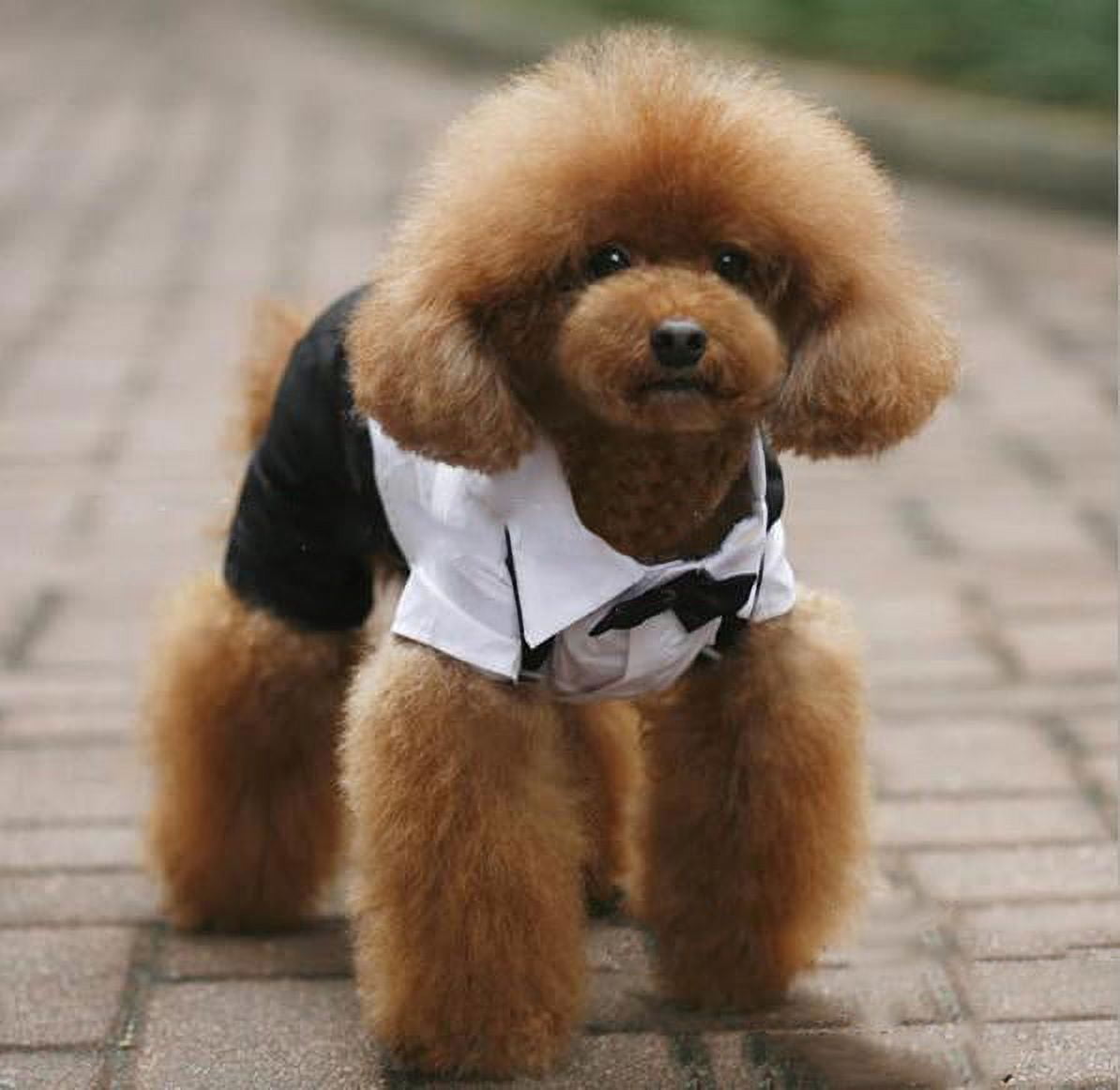  NOLITOY Puppy Outfits Small Dog Outfits pet Dog Costume Dog  Clothes pet Bow tie Suit pet Apparel Dog's Clothes Clothing Dress Tuxedo :  Pet Supplies