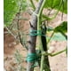 thumbnail image 2 of Juego de 2 alambres de jardinería verdes, organización de jardinería doméstica, rollos de 30 m, alambre plastificado, bridas metálicas multiusos para alambre de jardín, 2 of 5