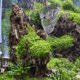 thumbnail image 4 of WEUVEB Para De Peces Con Piedra Y Musgo Falso Multicolor, 4 of 6