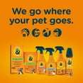 thumbnail image 4 of Chaos & Cuddles 50966 Pet Stain and Odor Remover - 18 fl Oz., 4 of 4