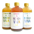 thumbnail image 1 of Bebida Viva Kombucha + / Bebida probiótica 36-pack (500 ml c/u Bebida Viva Caja con 36 piezas de 500 ml c/u, 1 of 5