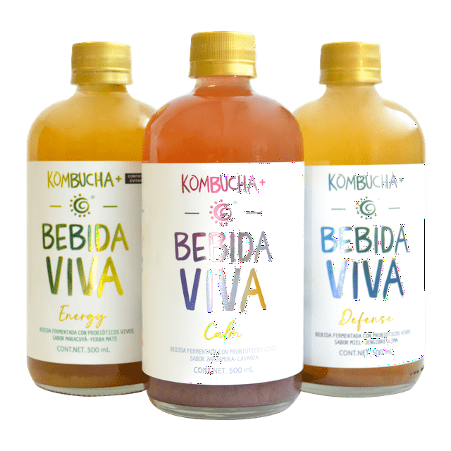 Bebida Viva Kombucha + / Bebida probiótica 36-pack (500 ml c/u Bebida Viva Caja con 36 piezas de 500 ml c/u
