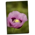 thumbnail image 2 of Gango Home Decor Purple Poppy I by Karyn Millet (Ready to Hang); One 24x36in Hand-Stretched Canvas, 2 of 4