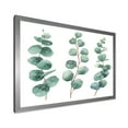 thumbnail image 2 of Designart 'Young Eucalyptus Branches and Leaves I' Traditional Framed Art Print, 2 of 4