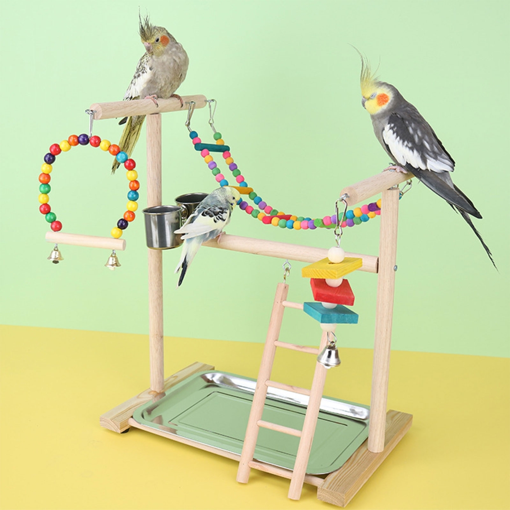 Colorful Bridge Training Bird Parrots Standing Supplies Bird Stands Toy