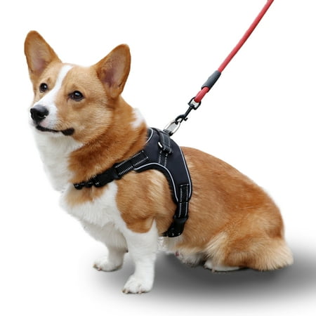Easy Control Dog Harness Best For Outdoor Walking Training No Pull and Adjustable Pet Vest Made of Oxford Safety Seat Belt with Elastic Bungee and Reflective Stripe for Large Medium Small (Best Walking Shoes For Pronation Control)