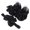 Black, variant on Baby Non-Slip Floor Socks & Bow Headbands Breathable Bowtie Socks FirstWalkers Shoes Infant Elastic Hairband Shower Gift