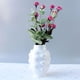 thumbnail image 4 of Florero Ornamental Zulema Jarrón de plantas, 4 of 8