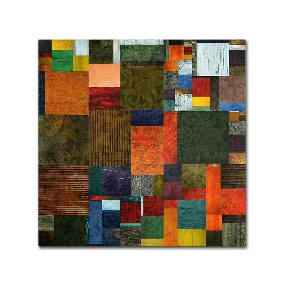 Trademark Fine Art "Brocade Color Collage 3" Canvas Art by Michelle Calkins