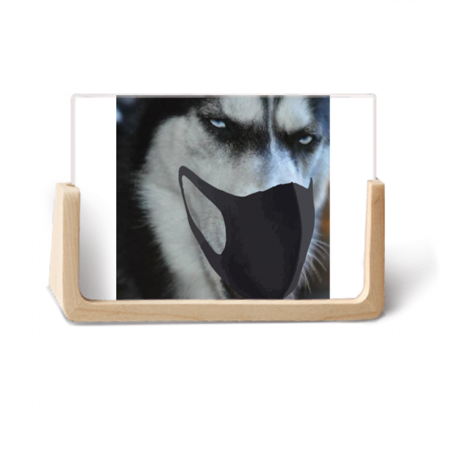 Handsome Funny Siberian Husky Dog Photo Wooden Photo Frame Tabletop Display