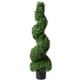 thumbnail image 3 of 50 in. Romano Boxwood Spiral Topiary Tree, 3 of 3