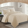thumbnail image 3 of Exclusivo Mezcla Brich Beige Queen Quilt Set, Weave Pattern Ultrasonic Lightweight Bedspreads, Soft Coverlets Bedding Set with Pillow Shams, 3 of 7