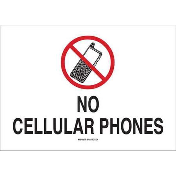 BRADY 122365 SECURITY SIGN G1967248