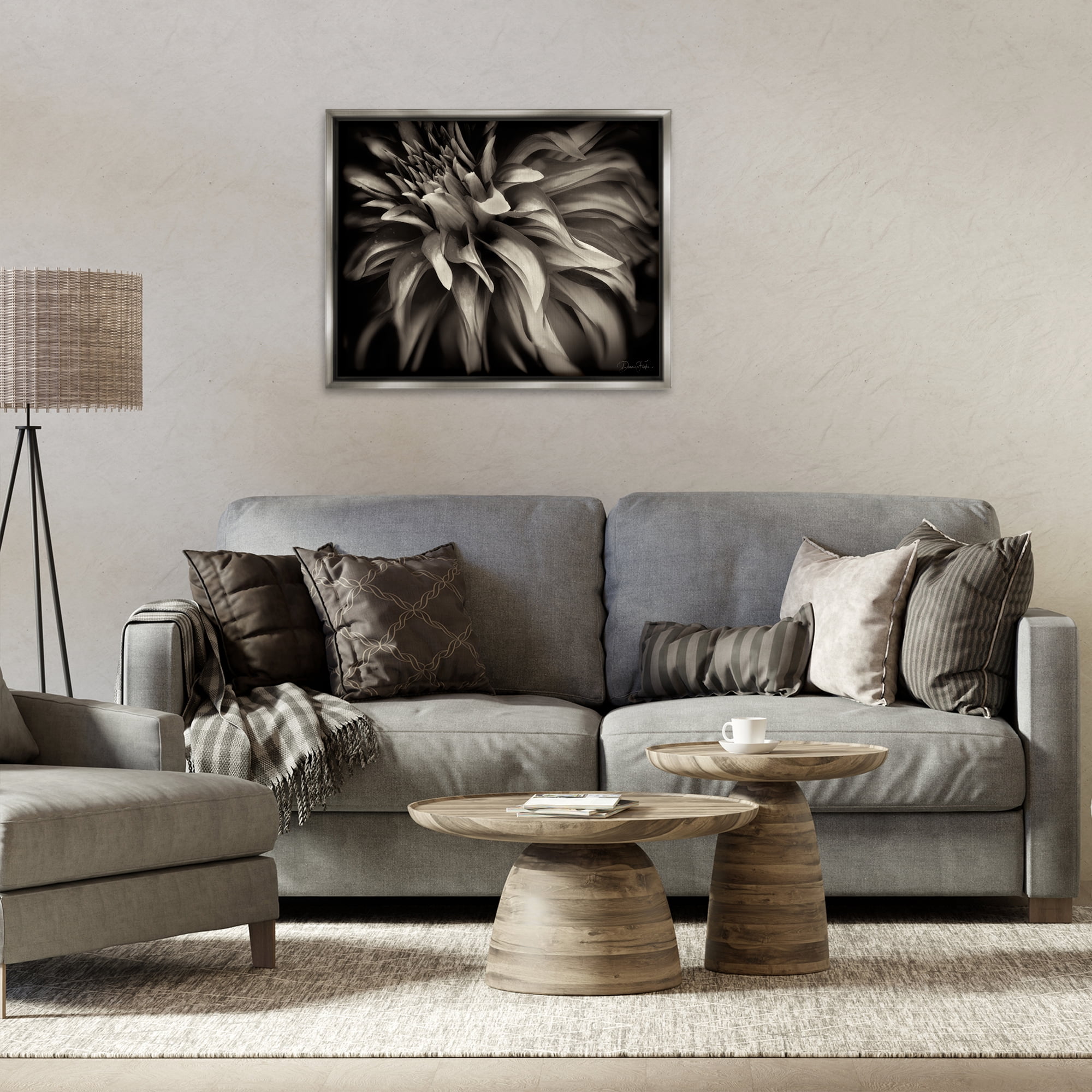 Stupell Industries Dark Curling Chrysanthemum Botanical & Floral Photography Gray Floater Framed Art Print Wall Art, 31 x 25
