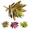 thumbnail image 2 of 10PCS Artificial Succulents Decorative Mini Lifelike Simulated Plants Home Decor, 2 of 10