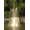 Warm White, variant on Ocean Mist PJ2000-6W Floating Pond Fountain with LED Lighting