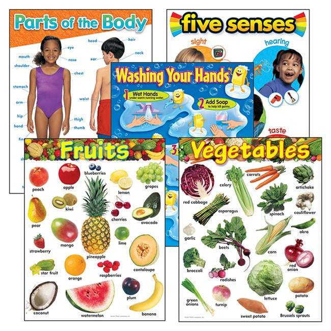 Kindergarten Basic Skills Learning Charts Combo Pack Set of 5 Trend Enterprises 